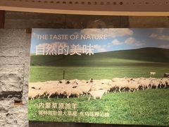 -巴奴毛肚火锅(龙湖锦艺城店)