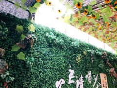 -茯茶镇