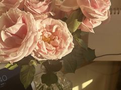 -汕头金海湾大酒店(万象城店)