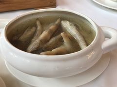 药膳沙姜炖凤爪-金汇酒楼(中山东区店)
