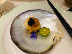 黑松露煎元贝-闻见中国海南菜(K11店)