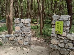 -同里国家湿地公园