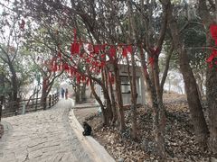-外蒲山