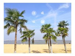 -瑶湖郊野森林公园