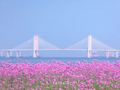 -崇武古城风景区