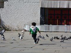 -宗角禄康公园