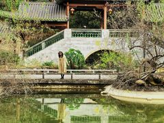 -广州神农草堂中医药博物馆