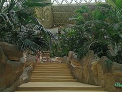 -杭州开元森泊度假乐园