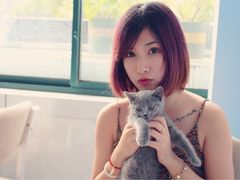 iphone_upload_pic-喵的天空名猫咖啡馆·撸猫·猫舍·用品