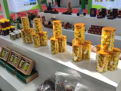 -南宁国际会展中心(会展东博文化旅游区)