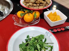 -烧哥美蛙肥肠鱼火锅·十五年社区店