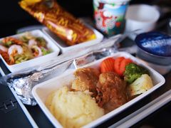 -新加坡航空公司(ION)