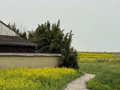 -同里国家湿地公园