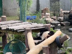 -沈阳森林动物园