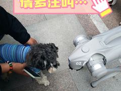 -中粮·祥云小镇