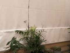 -IKEA宜家家居(南京商场)