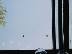 -星巴克(西湖天地店)