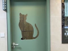 -半岛宠物医院24小时·内窥镜·牙科·碎石中心(府城大道店)