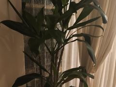-沐森 •疗愈头疗馆(打浦桥店)