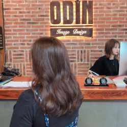 -ODIN 奥丁形象设计 