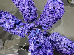 -鹿岛生活(龙湖上城天街店)