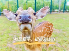 -野鸭湖国家湿地公园