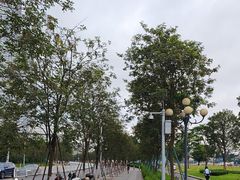-洲头咀公园
