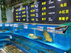 -鹅城粤菜馆(白云山路店)