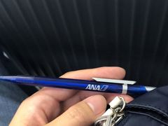-全日本空输株式会社(上海办事处)
