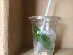 -BOBAC