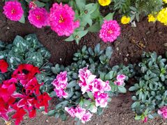 -广西壮族自治区南溪山医院