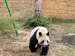 -杭州野生动物世界