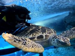 -太平洋海底世界