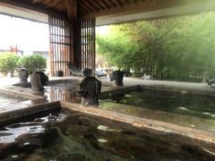 -中家鑫园温泉酒店鑫悦汤泉