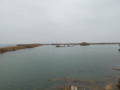 -太湖湖滨国家湿地公园-停车场