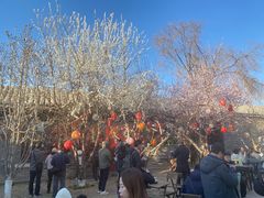 -春风习习