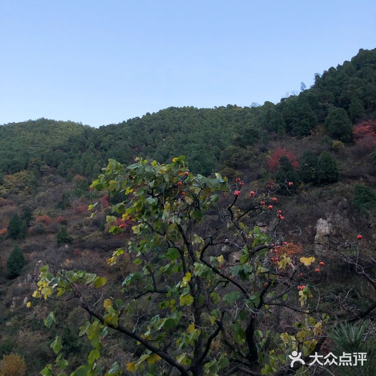 西安周末好去处🌈