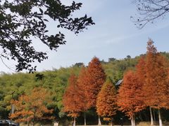 -南京市无想山景区