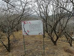 -广州市流溪河国家森林公园