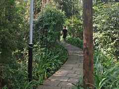 -水濂山森林公园