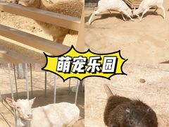 -北戴河集发农业梦想王国