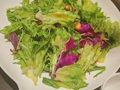 -老牌坊鲁菜名店(聊城美食岛店)