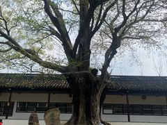 -苏州文庙(姑苏区)