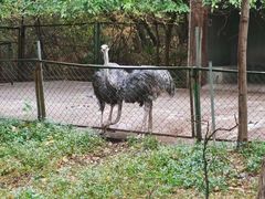 -合肥野生动物园
