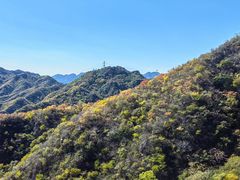 -大岭沟猕猴桃谷风景区