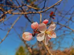 -白鹭湾湿地公园
