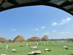 -中国天府农业博览园