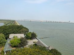 -大湾区中央湿地公园