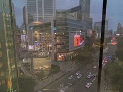 -小大董·烤鸭(观景餐厅·南京西路店)