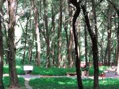 -七曲山风景区